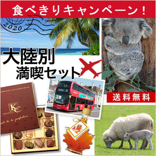 バーチャル海外旅行へ！【三大陸別】満喫ツアー世界のおみやげセット【送料無料】