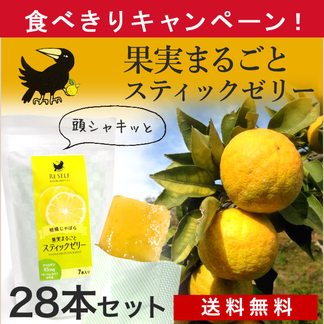 【和歌山熊野】花粉症にも「じゃばらスティックゼリー」でシャキッとリフレッシュ（送料無料）