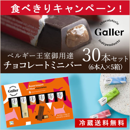 【ベルギー王室御用達】フレーバーミニチョコバー30本（6味×5箱セット）【送料無料】