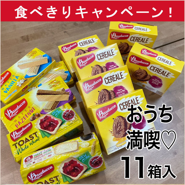 最終食べきり！！おうち時間満喫！カラフルで楽しい輸入菓子でおいしいカフェタイム11点セット