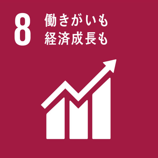 SDGｓとは何か？～⑧働きがいも経済成長も～