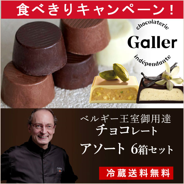 【プレゼントにも最適】Gallerカラフル可愛い6箱セット（冷蔵送料無料）