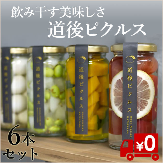 【飲み干す美味しさ】ミネラルたっぷりピクルス6本セット（送料無料）