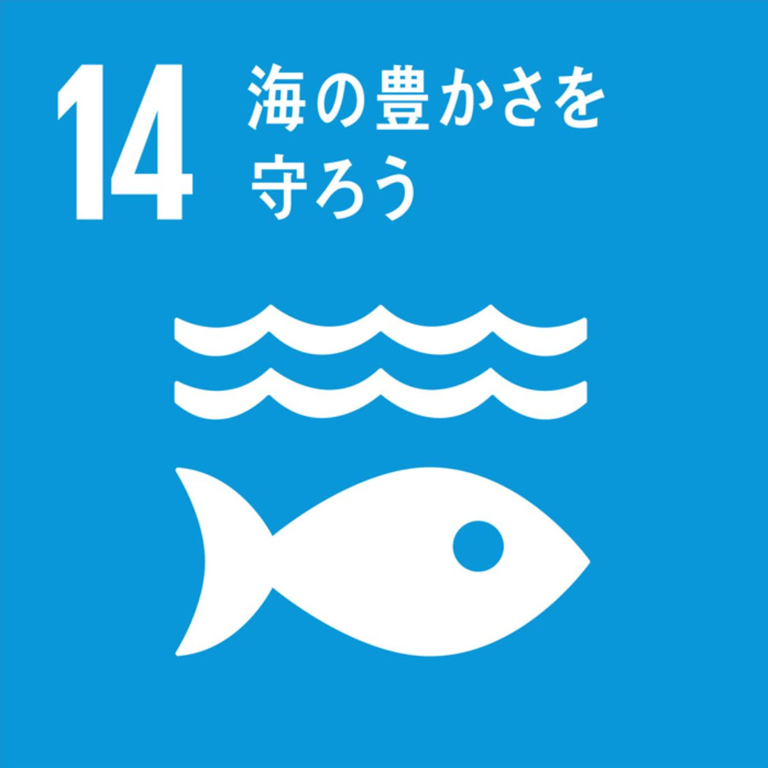 SDGｓとは何か？～⑭海の豊かさを守ろう～海洋プラスチックを減らす！！