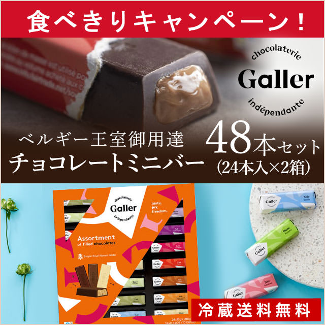 【ベルギー王室御用達】フレーバーミニチョコバー48本入り(24本入×2箱セット）【送料無料】