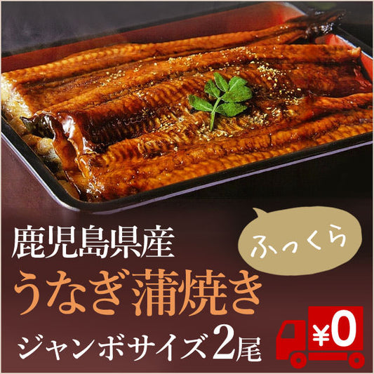 鹿児島県産ふっくらジューシー【うなぎ蒲焼】２尾セット（直送/ヤマト出荷/冷凍送料無料）