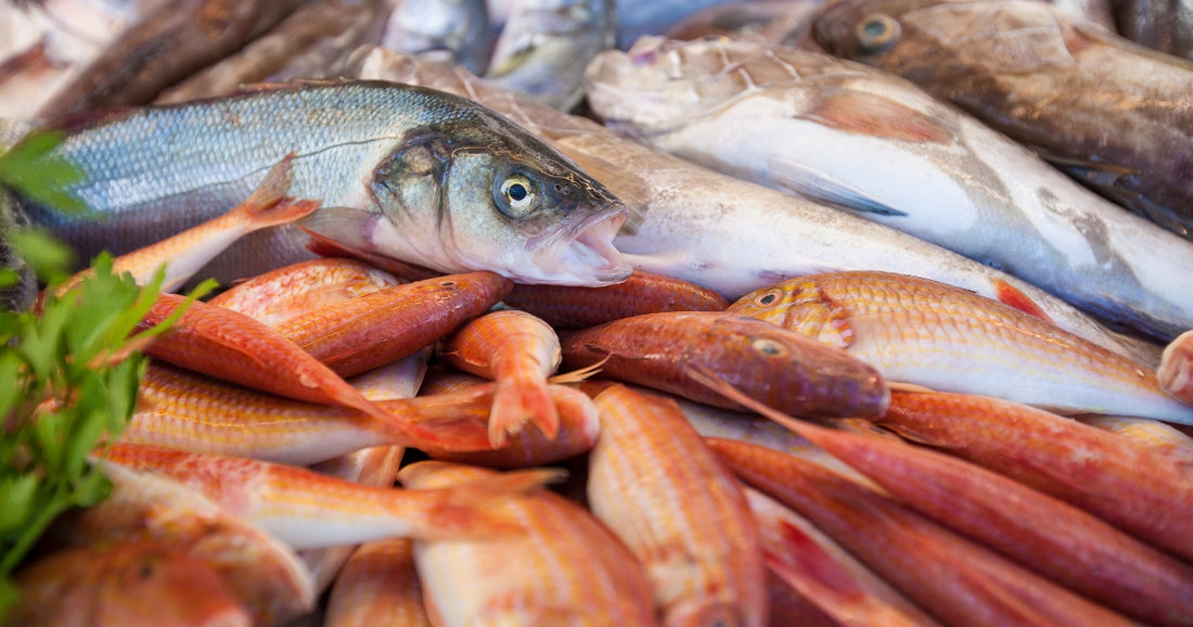 魚の内臓はどうやって捨てる？環境に優しく臭いを抑える方法