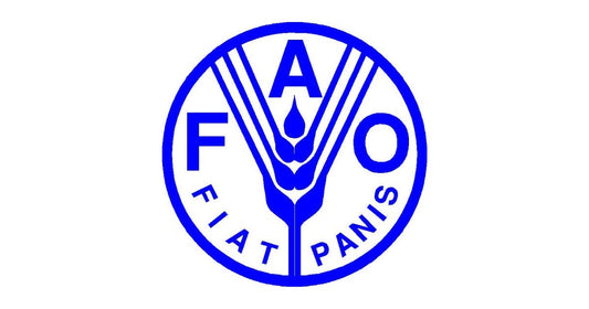 国連のFAOってどんな組織？