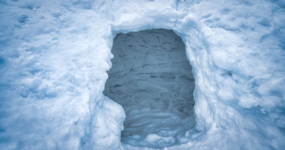 雪室のチカラで、食と地域を未来へつなぐ