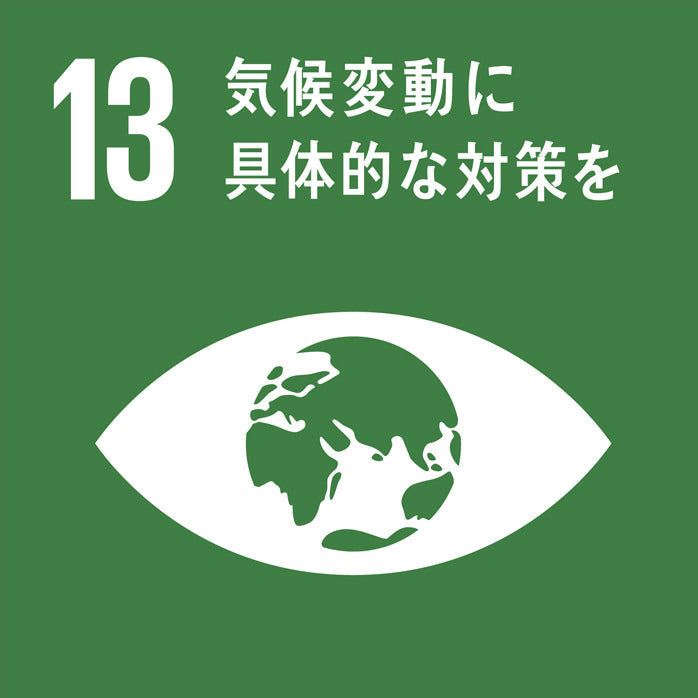 SDGsとは何か？～⑬地球温暖化に具体的な対策を～気温上昇を止めたい