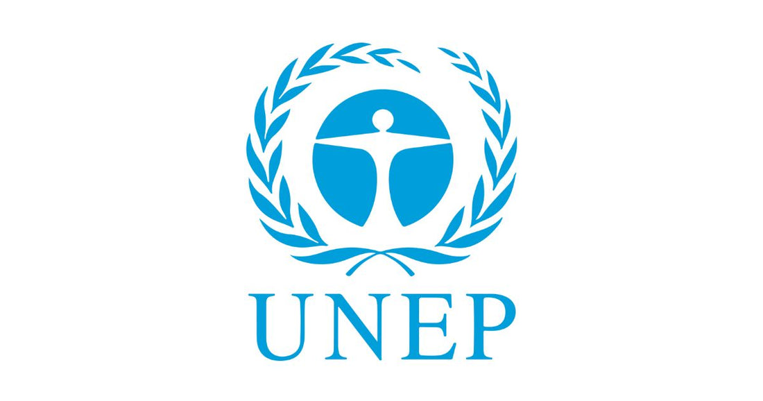 ＵＮＥＰ