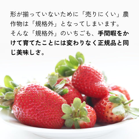 瓶入り ＜気仙沼みなといちご＞食べる理由があるチョコレート